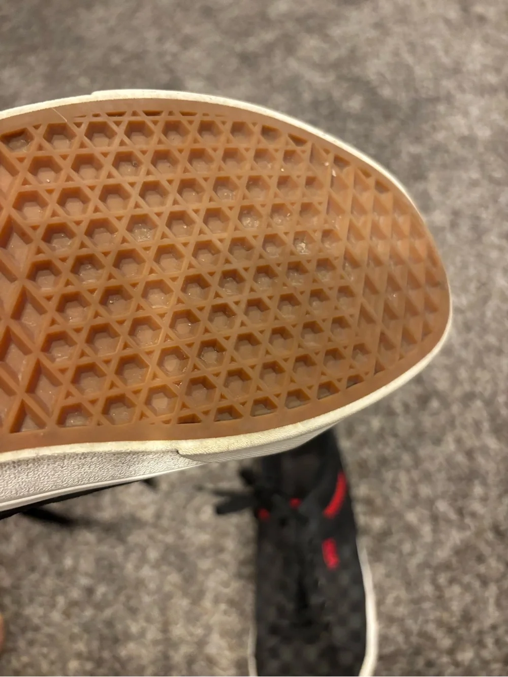 Vans size 12